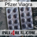 Pfizer Viagra 31